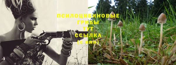 марки lsd Верхний Тагил