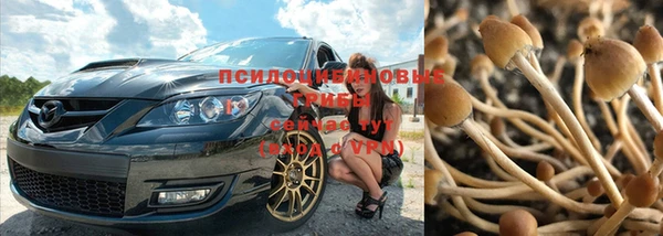 бошки Верея