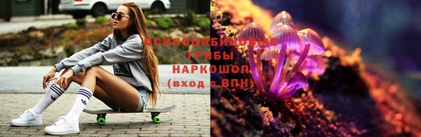 бошки Верея