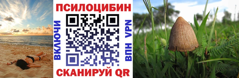 Псилоцибиновые грибы GOLDEN TEACHER  Плавск 